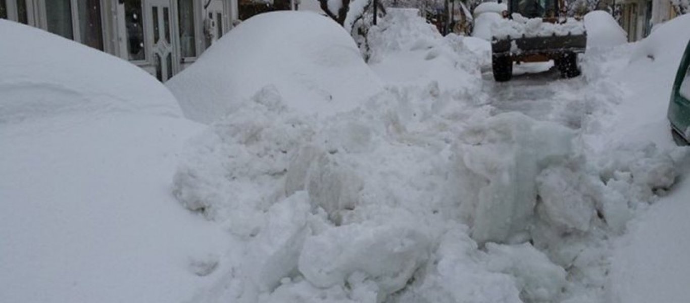 Σε απόγνωση οι αγρότες της Α.Κρήτης - Τεράστιες οι ζημιές στις καλλιέργειες από τον χιονιά